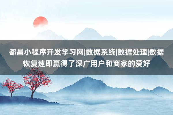 都昌小程序开发学习网|数据系统|数据处理|数据恢复速即赢得了深广用户和商家的爱好