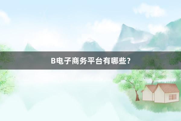B电子商务平台有哪些？