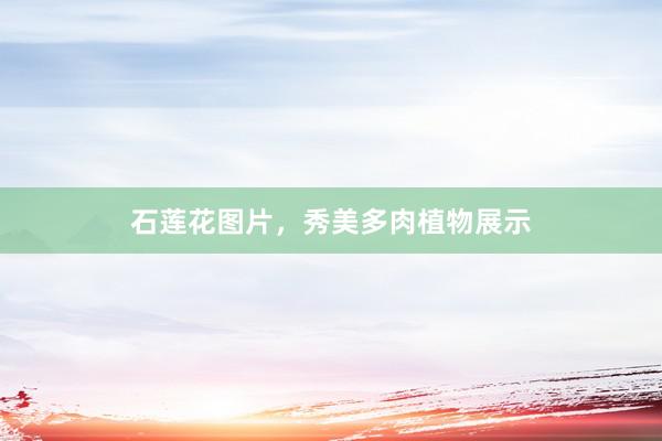 石莲花图片，秀美多肉植物展示