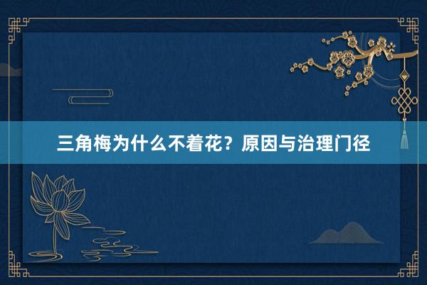 三角梅为什么不着花？原因与治理门径